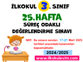 3.Sınıf 25.Hafta Değerlendirme Soruları