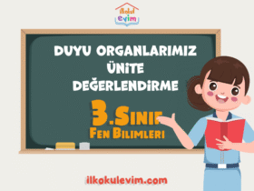 3. Sınıf Fen Bilimleri Duyu Organlarımız Ünite Değerlendirme