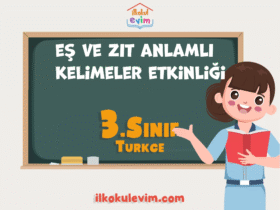 3. Sınıf Türkçe Eş ve Zıt Anlamlı Kelimeler Etkinliği