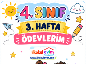 4. sınıf 3. hafta ödevleri kapak görseli