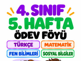 4. sınıf 5. hafta ödevi kapak görseli