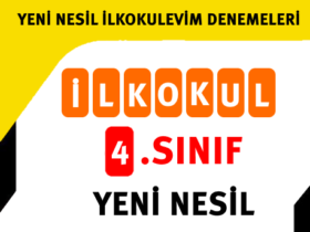 4.Sınıf Yeni Nesil Sorular Deneme 18/12/2021