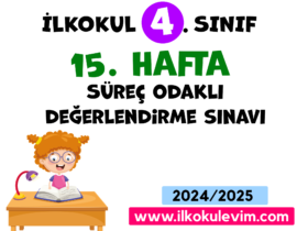 4.Sınıf 15. Hafta Değerlendirme Soruları