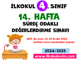 4.Sınıf 14. Hafta Değerlendirme Soruları