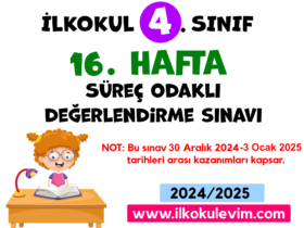 4.Sınıf 16. Hafta Değerlendirme Soruları