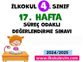 4. Sınıf 17. Hafta Değerlendirme Sınavı
