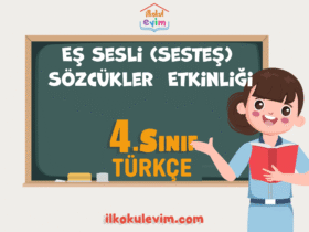 4. Sınıf Türkçe Eş Sesli (Sesteş) Sözcükler Etkinliği