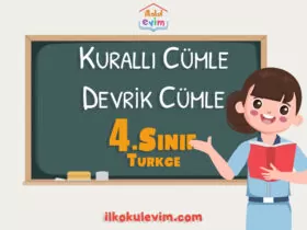 4. Sınıf Türkçe Kurallı Cümle Çalışması