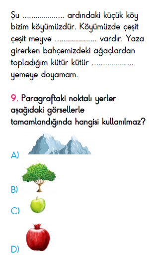 4.Sınıf Ekim Ayı Süreç İzleme Sınavı-3