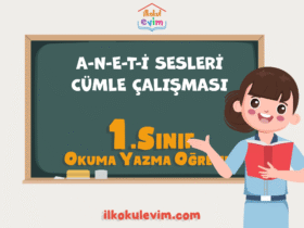 1. Sınıf A-N-E-T-İ Sesleri Cümle Etkinlikleri
