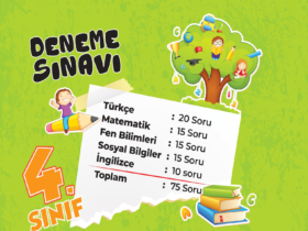 4. Sınıf Meraklı Zihinler Kasım Ayı Kazanım Değerlendirme Sınavı