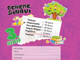 3. Sınıf Meraklı Zihinler Kasım Ayı Kazanım Değerlendirme Sınavı