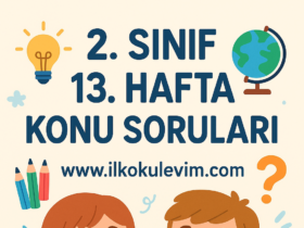 2. Sınıf 13. Hafta Soruları