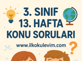 3. Sınıf 13. Hafta Soruları