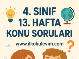4. Sınıf 13. Hafta Soruları