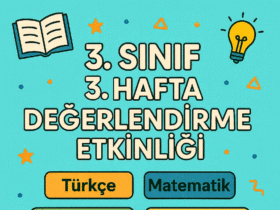 3.Sınıf 3.Hafta Değerlendirme Etkinliği