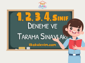 1. Sınıf Online Değerlendirme Testi