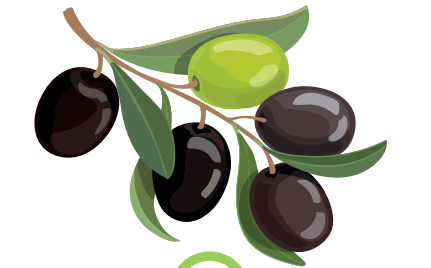 1.Sınıf 15. Hafta Süreç Değerlendirme