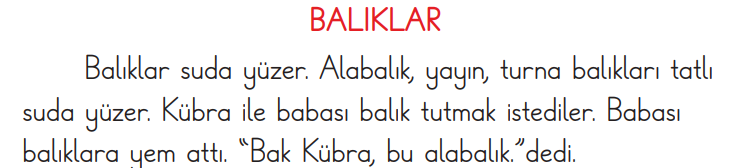 1.Sınıf 15. Hafta Süreç Değerlendirme