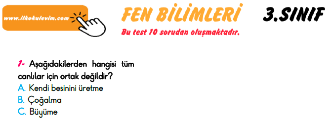 3. Sınıf Türkiye Geneli Kazanım Değerlendirme Sınavı 6