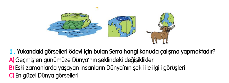 3.Sınıf Kasım Ara Tatil Değerlendirme Soruları