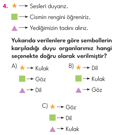 3.Sınıf 4. Hafta Değerlendirme Testi