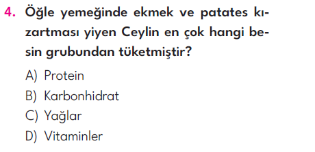 4.Sınıf 6. Hafta Değerlendirme Testi