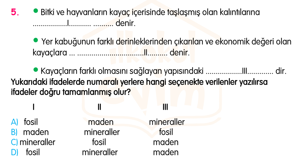 4. Sınıf Konu Tekrar Soruları Testi