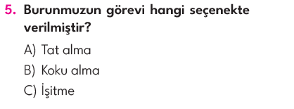 3.Sınıf 4. Hafta Değerlendirme Testi