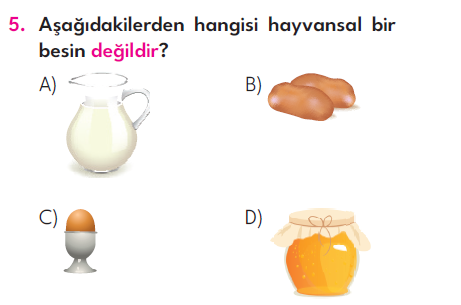 4.Sınıf 6. Hafta Değerlendirme Testi