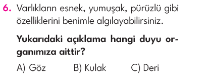 3.Sınıf 4. Hafta Değerlendirme Testi