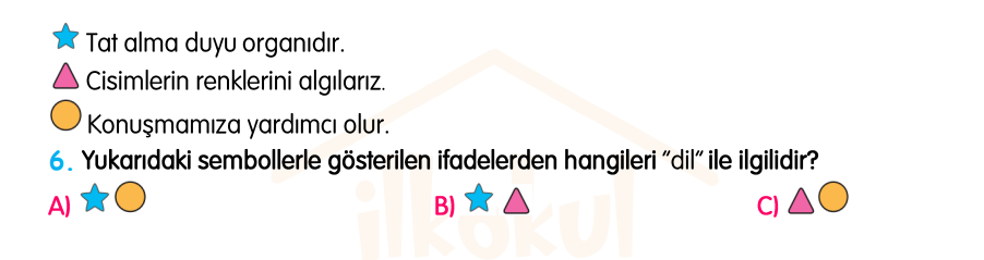 3.Sınıf Kasım Ara Tatil Değerlendirme Soruları