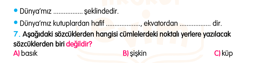 3.Sınıf Kasım Ara Tatil Değerlendirme Soruları