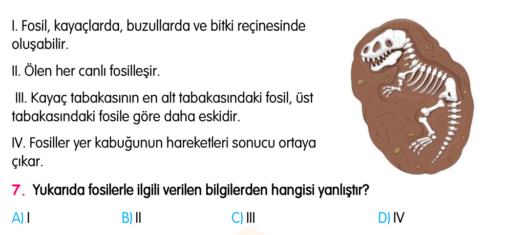 4. Sınıf Konu Tekrar Soruları Testi