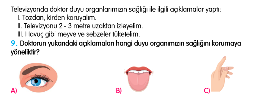 3.Sınıf Kasım Ara Tatil Değerlendirme Soruları