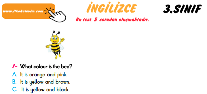 3. Sınıf Türkiye Geneli Kazanım Değerlendirme Sınavı 6