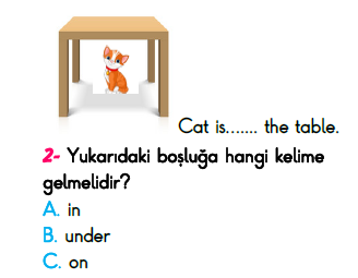 2. Sınıf Türkiye Geneli Kazanım Değerlendirme Sınavı 6