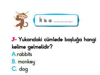 2. Sınıf Türkiye Geneli Kazanım Değerlendirme Sınavı 6