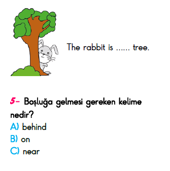 3. Sınıf Türkiye Geneli Kazanım Değerlendirme Sınavı 6