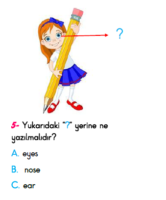 2. Sınıf Türkiye Geneli Kazanım Değerlendirme Sınavı 6