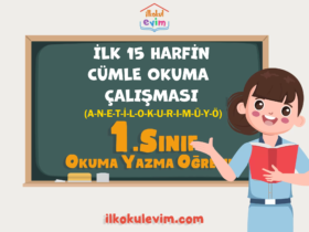 1.Sınıf İlk 15 Ses Cümle Okuma Çalışması (A-N-E-T-İ-L-O-K-U-R-I-M-Ü-Y-Ö)
