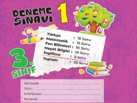 3. Sınıf Meraklı Zihinler Ekim Ayı Kazanım Değerlendirme Sınavı