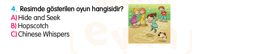 3.Sınıf Kasım Ara Tatil Değerlendirme Soruları