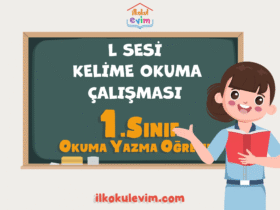 1. Sınıf L Sesi Kelime Okuma Çalışması