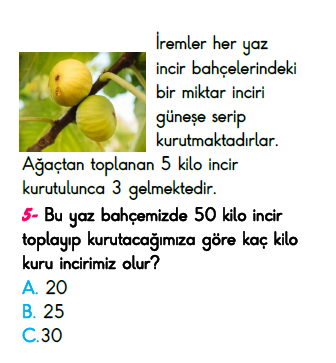 2. Sınıf Türkiye Geneli Kazanım Değerlendirme Sınavı 6