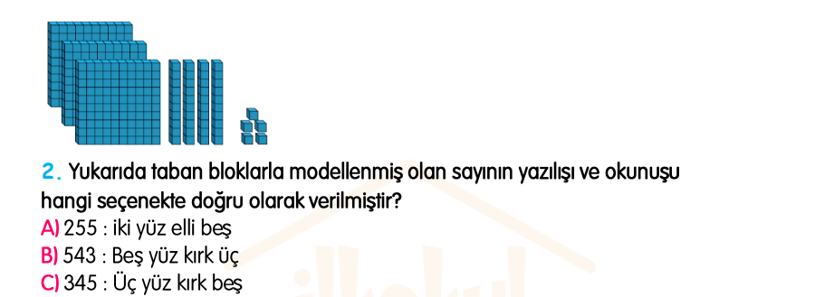 3.Sınıf Kasım Ara Tatil Değerlendirme Soruları