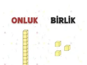 1.Sınıf Matematik Onluk Birlik Çalışma Kağıtları
