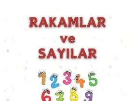 1.Sınıf Matematik Rakamlar ve Sayılar Çalışma Kağıtları
