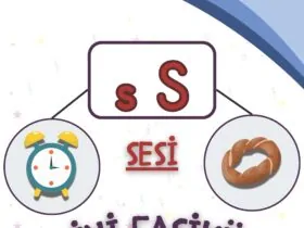 1. Sınıf S Sesi Fasikülü (Mehmet GÖKÇE Öğretmen)