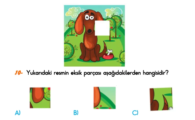 1. Sınıf Türkiye Geneli Kazanım Değerlendirme Sınavı 3